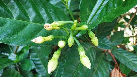 UFO 对战游戏《收收幽浮》现已在Steam发售 支持中文