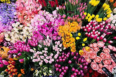 双人海上肉鸽《同舟共济》大型免费更新将于4月24日上线！全新DLC同步推出！